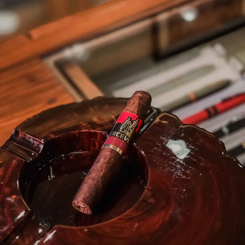 Charuto Perceverancia Añejo Robusto Maduro