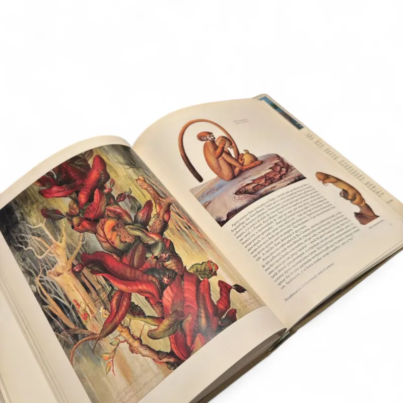 Livro Margaret Mee — Em Busca das Flores da Floresta Amazônica (Salamandra, 1989) — Capa dura com sobrecapa