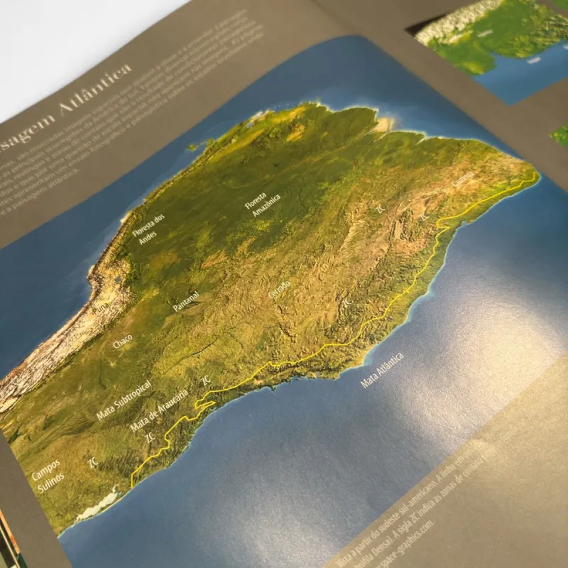 Livro Mata Atlântica: as árvores e a paisagem — Paulo Backes, Bruno Irgang (Paisagem do Sul, 2004) — Capa dura